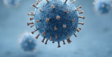 dengue